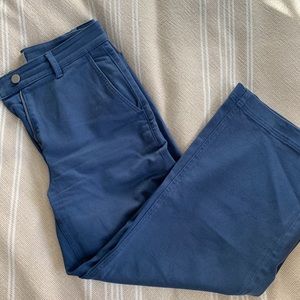 Everlane Wide Leg Crop Pants